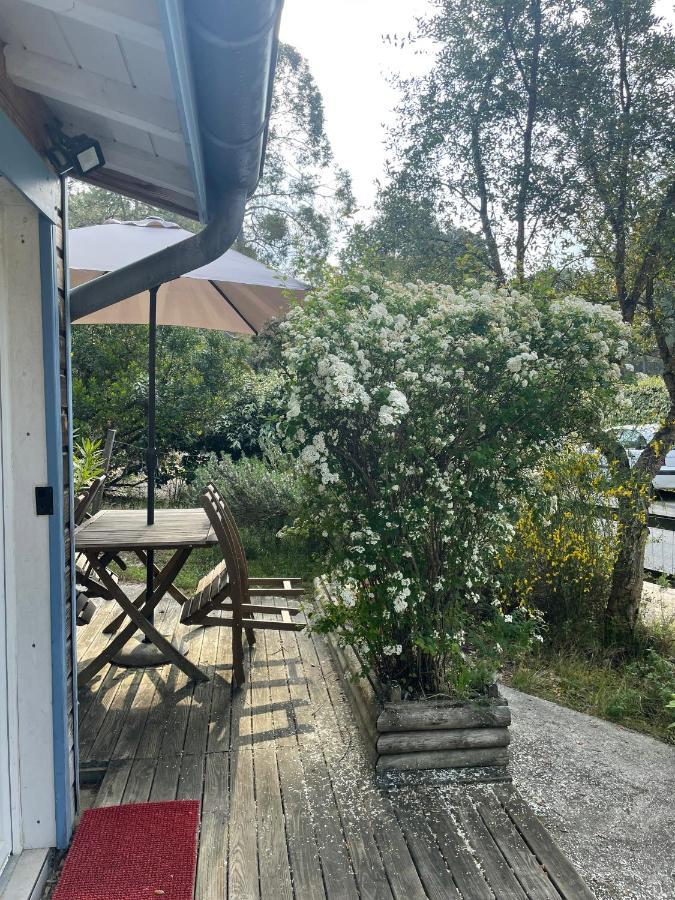 Ferienwohnung Le Petit Havre Lacanau Exterior foto